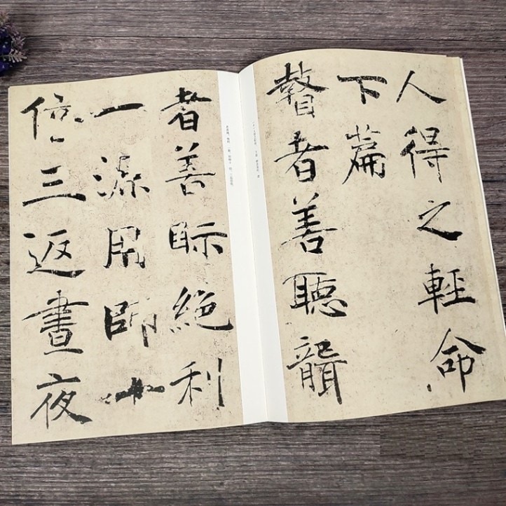 訳注　語石　石刻書道考古大系　上巻　藤原楚水/著 省心書房　1975年発行 訳注 語石 石刻書道考古大系 上巻 藤原楚水/著 省心書房 1975年発行