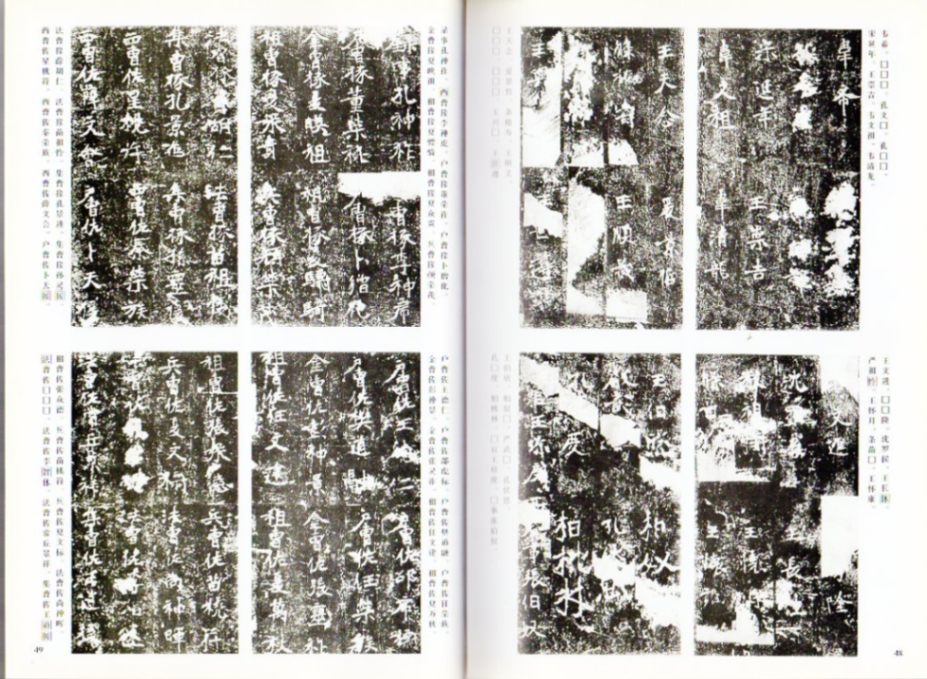 専用　張猛龍碑30枚 専用 張猛龍碑30枚 張猛龍碑[北魏/楷書] (中国法書選 23) | 角井