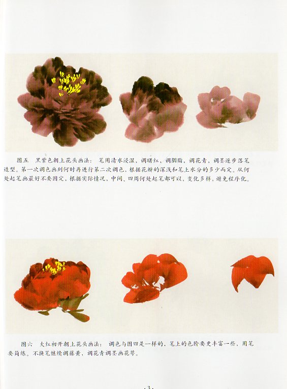 牡丹 絵画新技法 中国絵画/牡丹 绘画新技法 | 中国美術 芸術