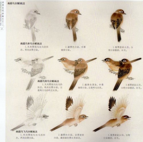 四季名花 珍禽技法2 中国絵画/四季名花 珍禽技法2 | 中国美術 芸術