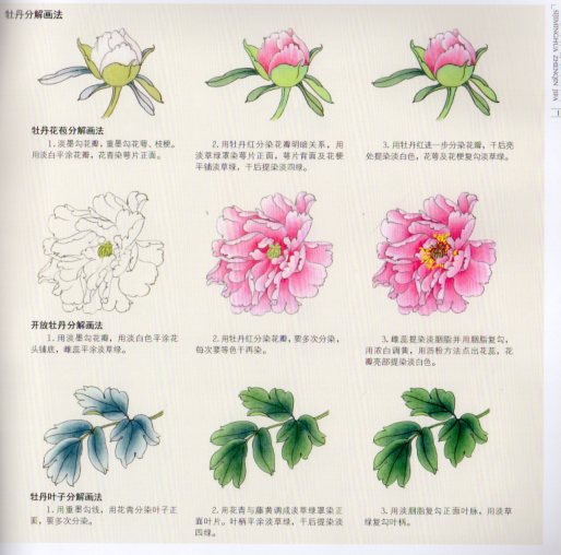 四季名花 珍禽技法1 中国絵画/四季名花 珍禽技法1 | 中国美術 芸術