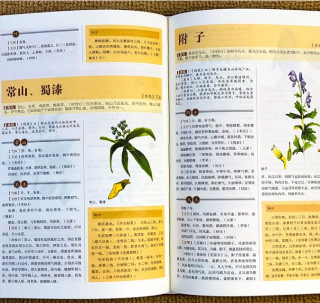 本草綱目 彩絵版 国学経典名作 布面ハードカバー製本 中国語版