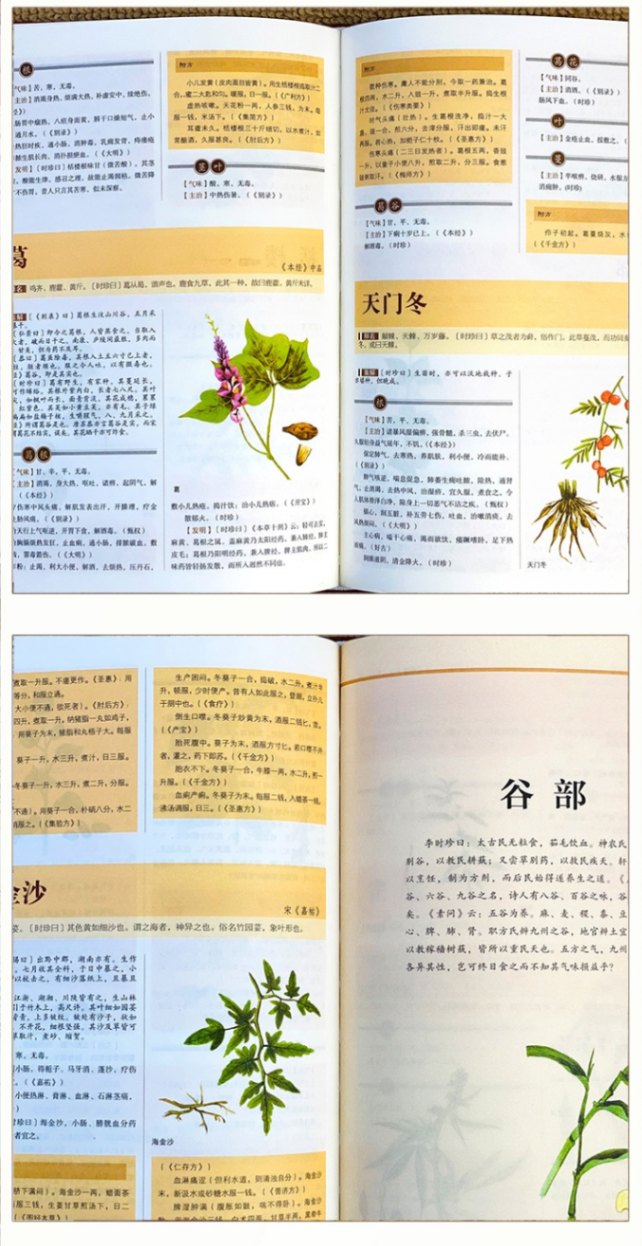 本草綱目 彩絵版 国学経典名作 布面ハードカバー製本 中国語版