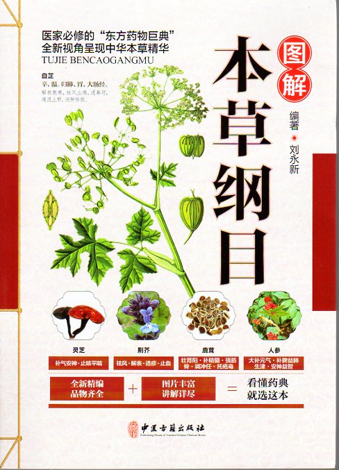 �޲�������ܡ��������/����纲��