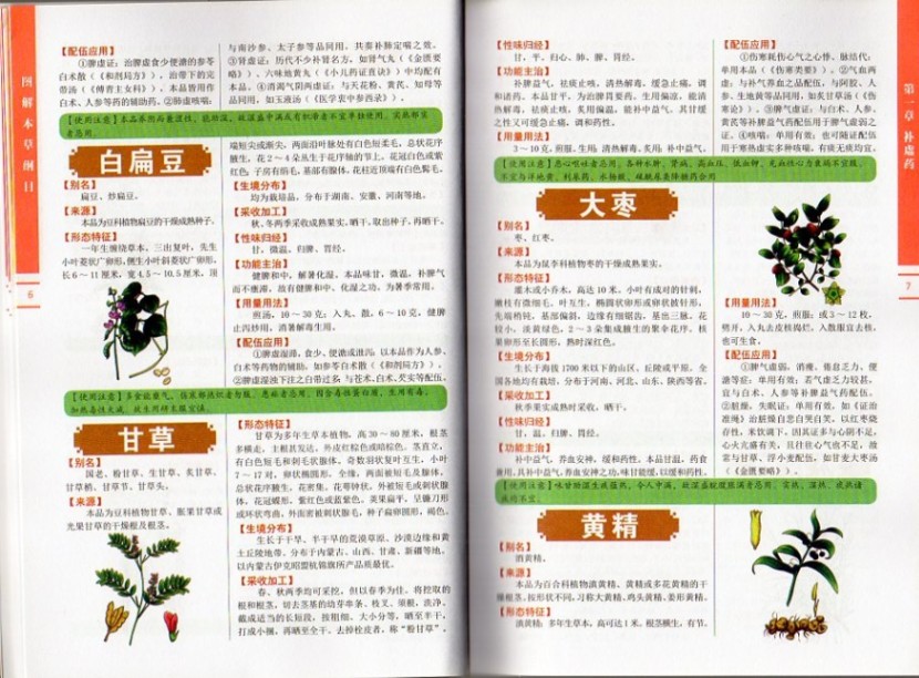 図解本草綱目 中国語書籍/本草纲目 | 太極拳 漢方 美容 ,漢方