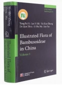 ޻ʱѸǡ/类图(ʸ)/Illustrated Flora of Bambusoideae in China(Volume1)()