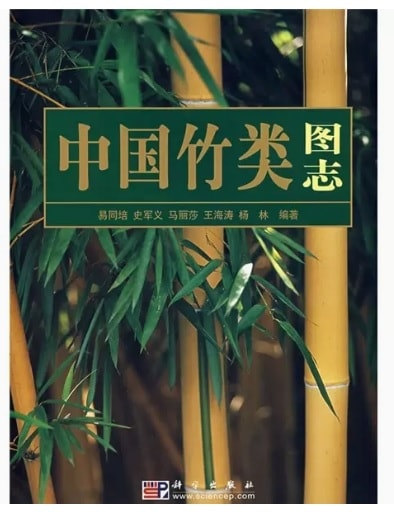 �������޻�/�����类图��