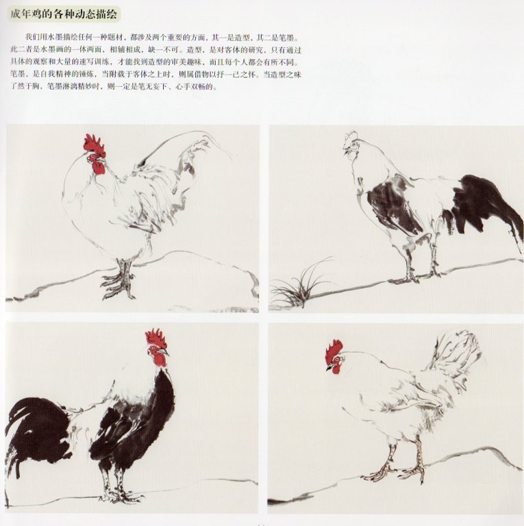 鶏 国画名師課徒稿 中国画技法 中国絵画/鸡 国画名师