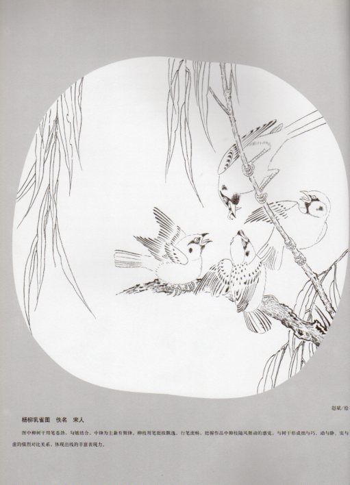 花鳥 白描 経典国画臨模実技 中国絵画/白描 花鸟 经典国画