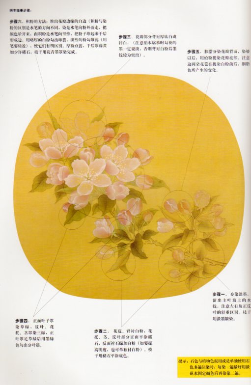 宋人花鳥 壱 白描技法 経典国画臨模実技 中国絵画/宋人花鸟 壹