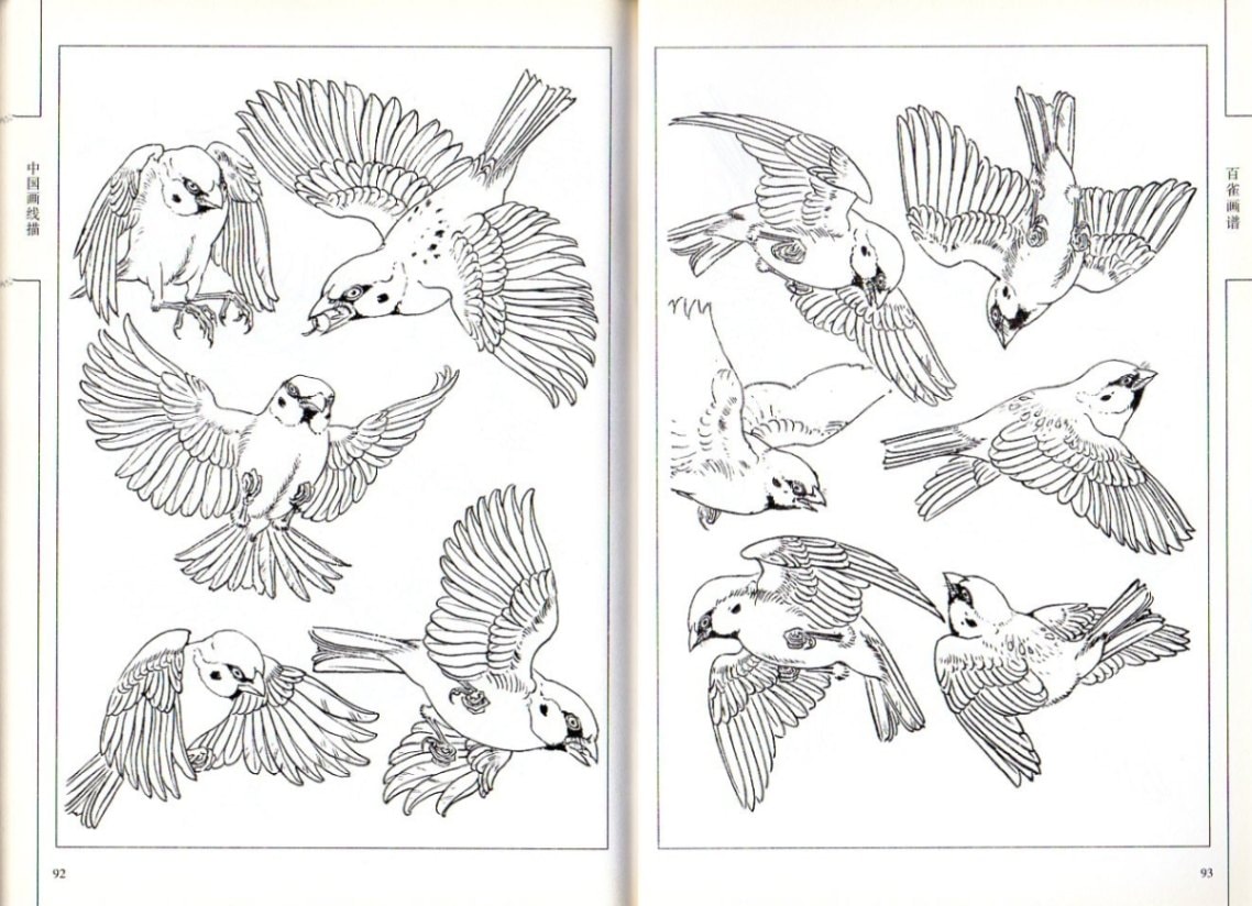 鉛筆画 雀 スズメ 雀 すずめ スズメ 鳥 A4 鉛筆画 動物画 素人 の 絵 - メルカリ