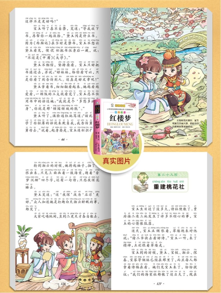 紅楼夢 三国演義 西遊記 水滸伝 四大名作 4冊セット ピンイン付