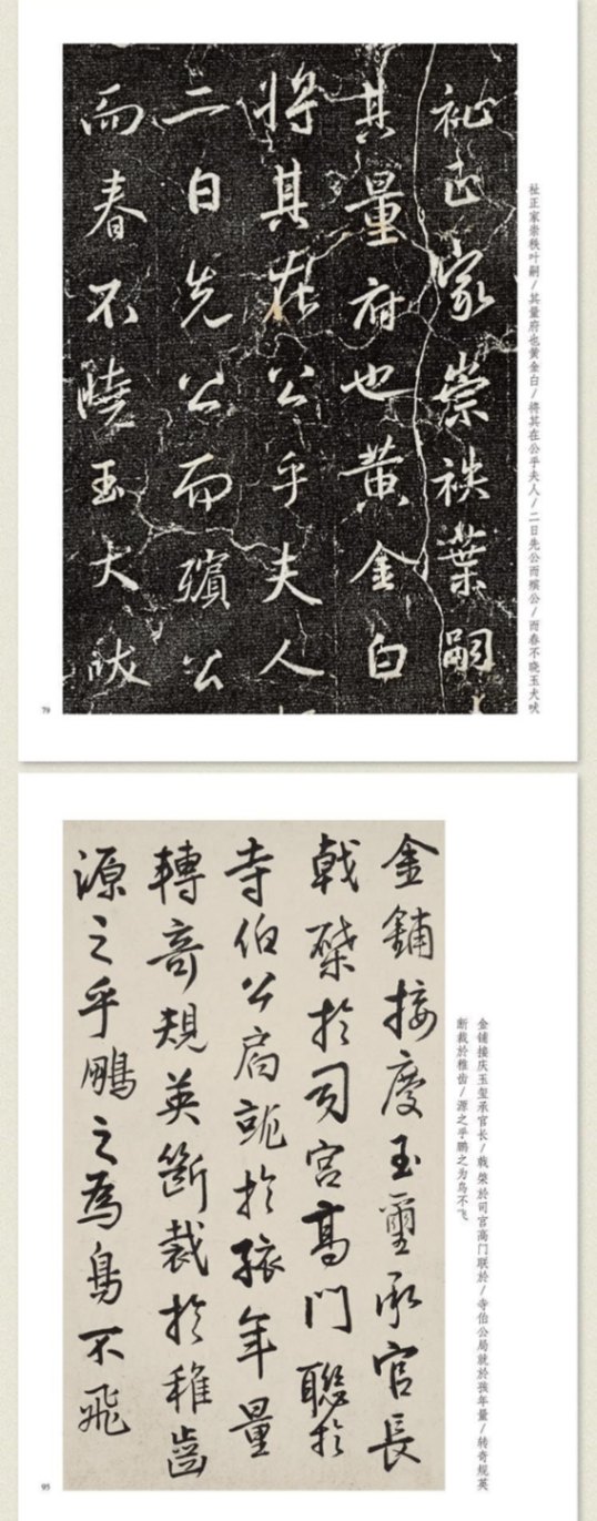 王鐸 八大山人 臨興福寺半截碑対照 名家臨名帖系列 中国語書道/王