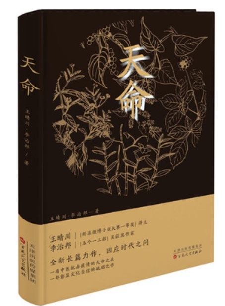 天命 中国語小説/天命王晴川 文化歴史政治経済哲学法律言語辞典,文学、歴史、哲学、法律、小説、絵本、宗教,小説 歴史 中国伝統文化 新華書城