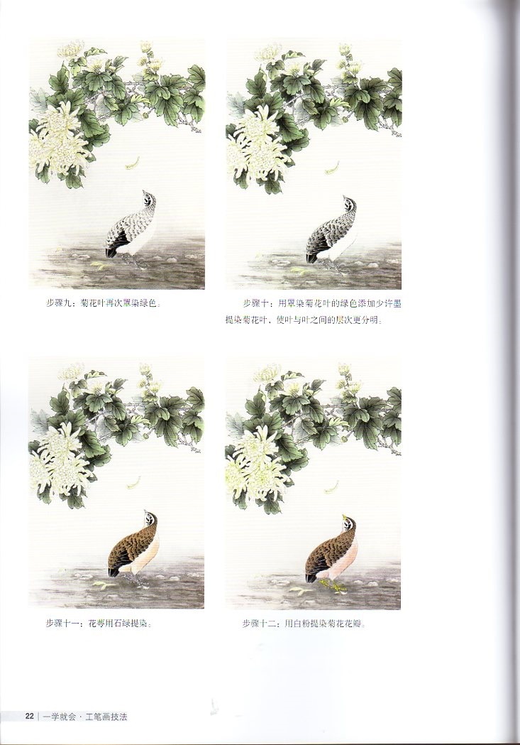 工筆菊画法 一学直ぐ描ける 中国語絵画技法集/一学就会 工笔菊花