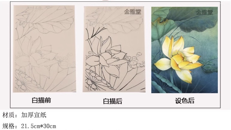 密画白描の原稿 模写練習 国画の水彩花鳥牡丹画仙紙 三種類模様14枚/工