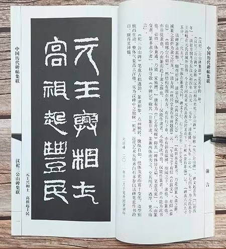 祀三公山碑集聯 中国歴代碑帖集聯 中国語書道/汉祀三公山碑集