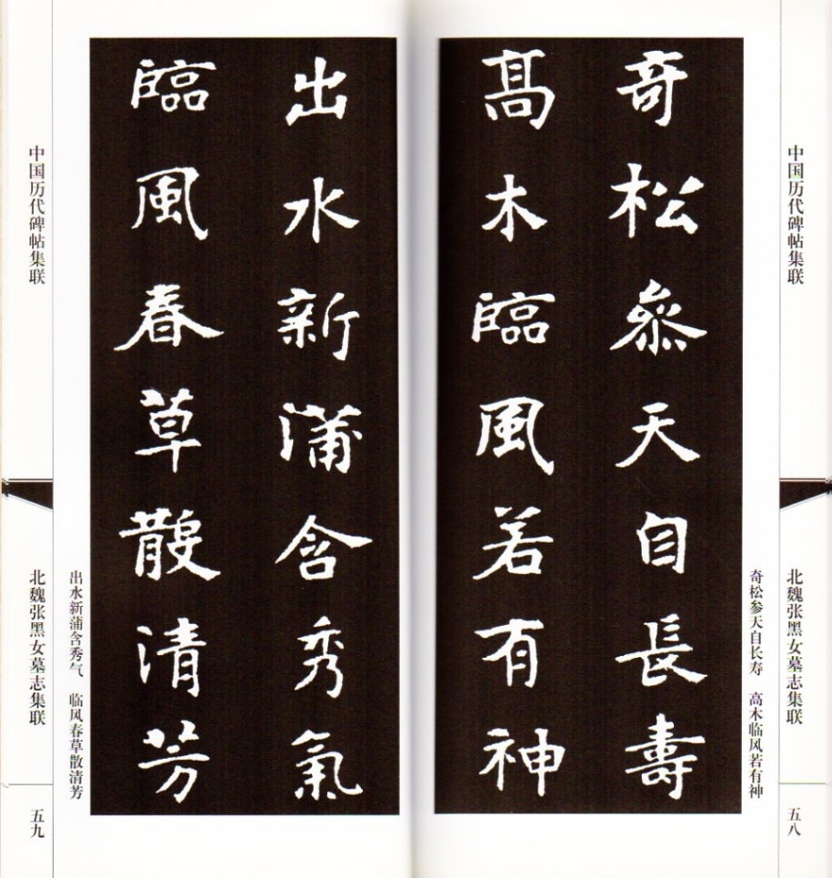 張黒女墓誌集聯 （ちょうこくじょぼし） 中国歴代碑帖集聯 中国語書道 