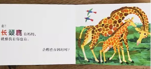 確認用　カンガルーの子どもにもかあさんいるの？ など4冊セット カンガルーの子どもにもかあさんいるの？ | 絵本のそえる
