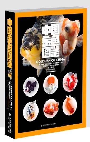 中国金魚図鑑 中国語・英語版図鑑/中国金鱼图鉴