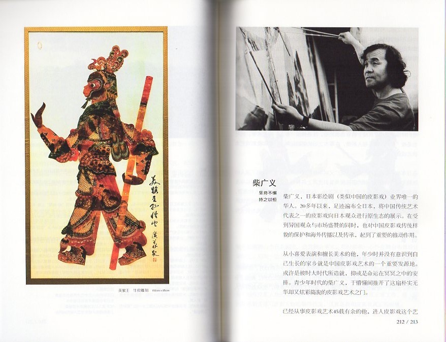 観海聞潮 芸術家訪問録 中国語版書籍/观海听潮 艺术
