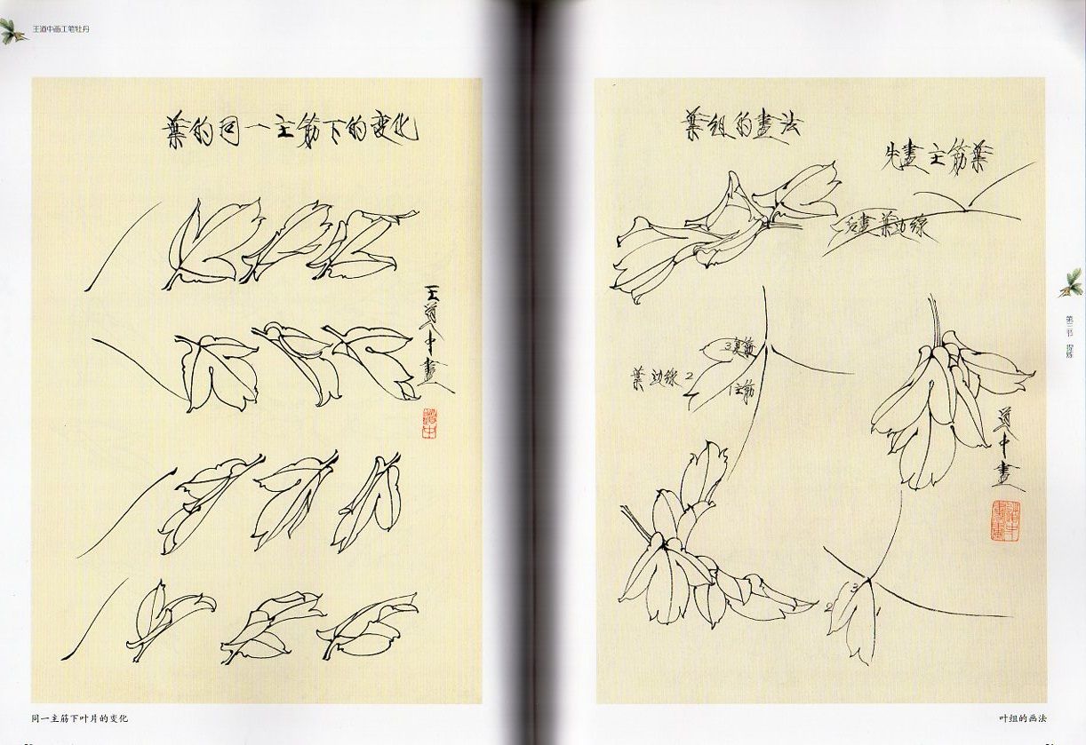 王道中画工筆牡丹 中国名家技法経典 中国絵 中国語技法書 /王道