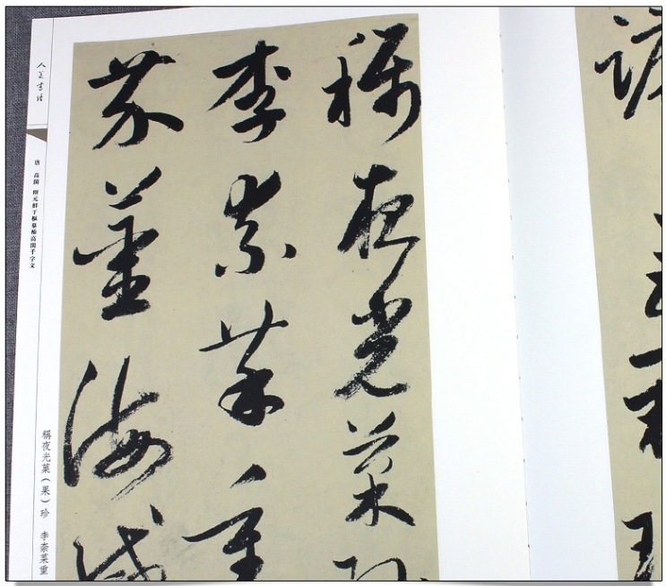唐 高閑 草書千字文 附元鮮于枢写補高閑千字文 人美書譜 中国語書道/唐
