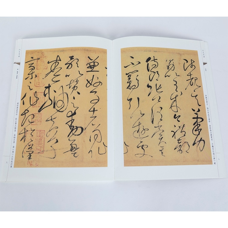 唐 懐素 自叙帖 小草千字文 草書 人美書譜 中国語書道/唐