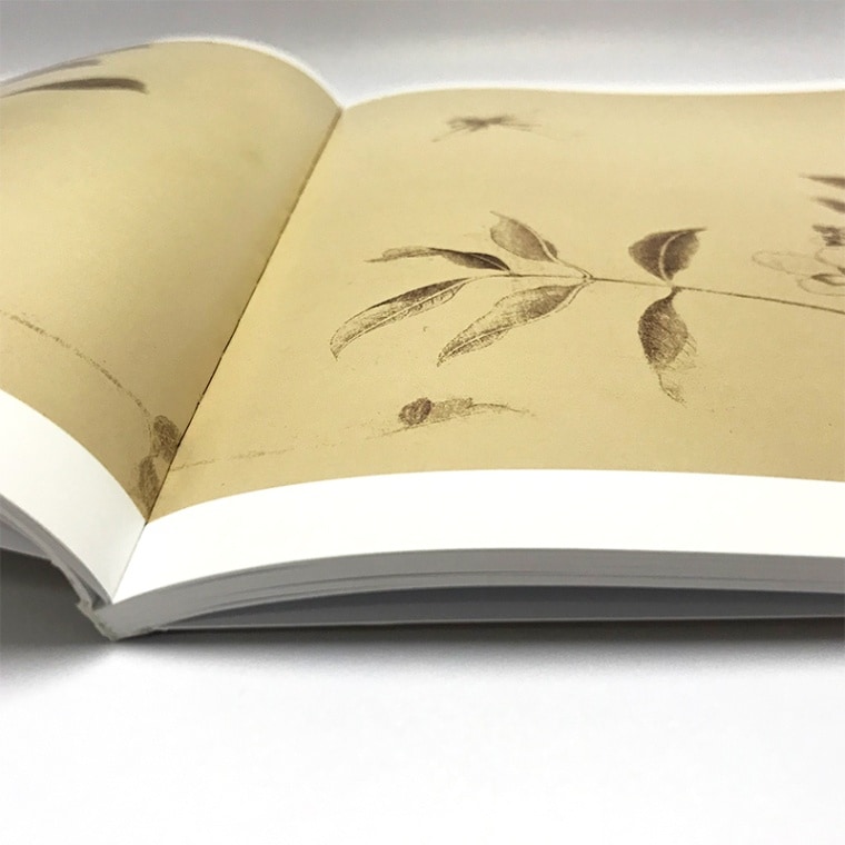 百花図巻 手巻部分 中国歴代絵画作品集粋 / 百花图卷 手卷部分