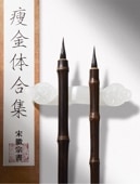 ɮݡӡܴԽΡ̷ССɮȢ/鹤ӏ专ϵݡ专业级专ѡ׵ܴ书练ӏ线ӏЏ