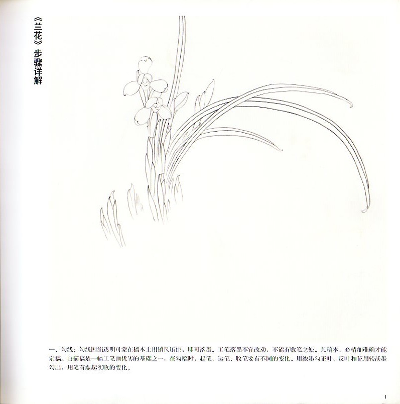 東洋ラン水仙画法 東洋ランと水仙の描き方を教える 中国画技法叢書
