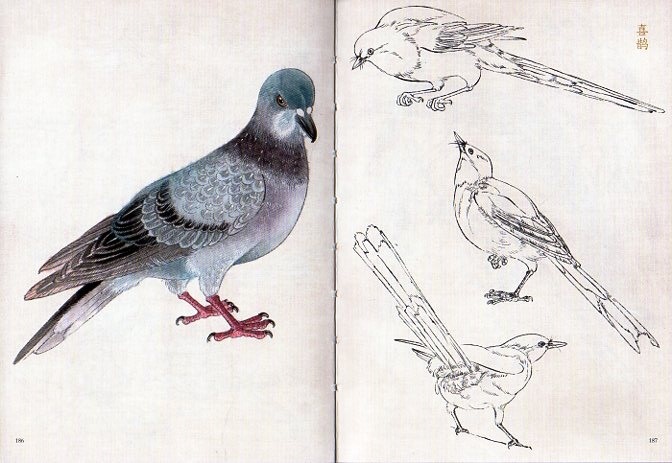 中国の絵画　花鳥　陳利君　中国美術館 中国の絵画 花鳥 陳利君 中国美術館