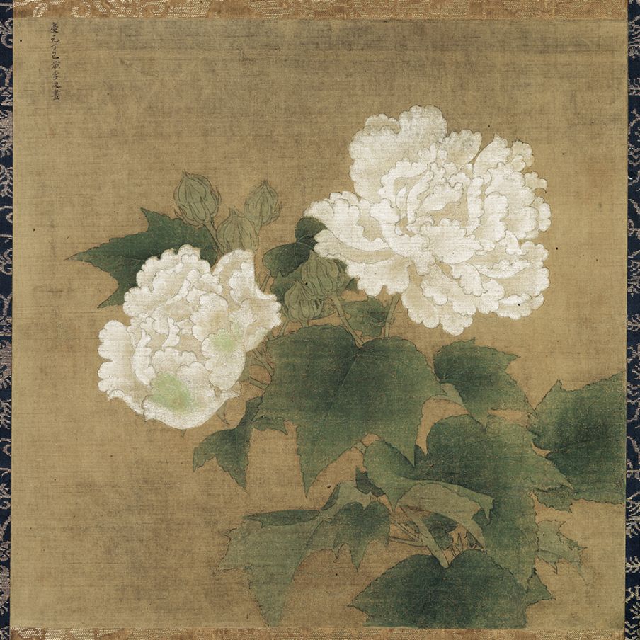 白芙蓉図頁』 李迪南宋額画高質印刷アート/ 南宋·李迪《白芙蓉