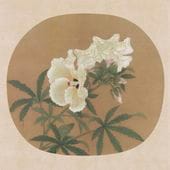 ؽǡ         ۲    / ·Խ图页   单页迴