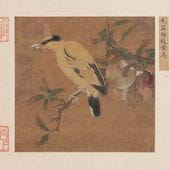 ػ޲Ļǡ   ӱ      ۲    / ·ӱסػ޲鸟图页   单页迴