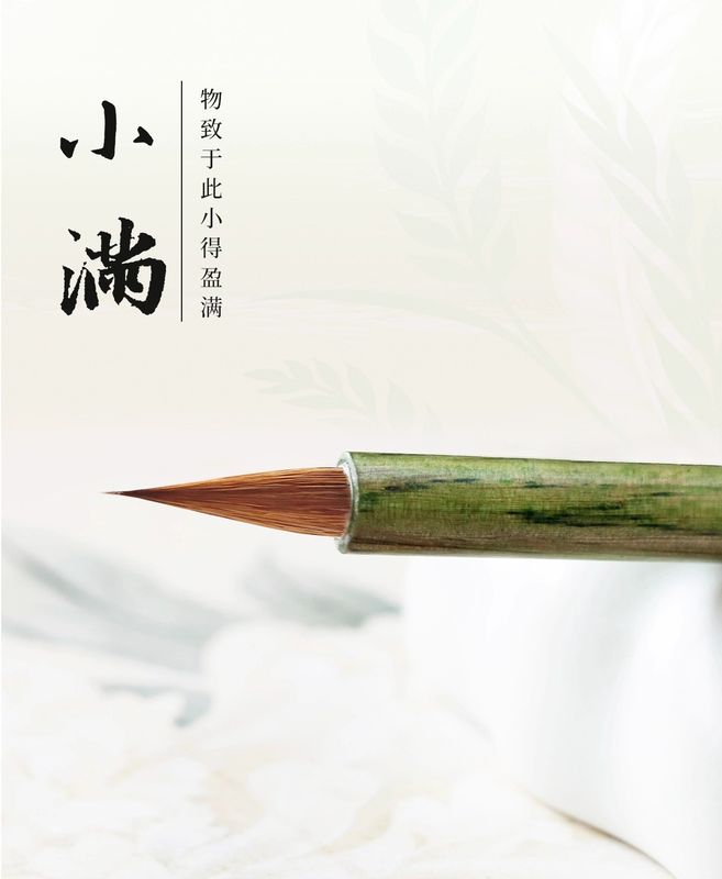 ������ϵ�ݾ�ɮ�����������ӡ��羮�������ѡ����ʸ˼����ɮ/��宫ʸ˼�ӏ����满��ܴ�ӏ��ϵ�ݷ���专业级书ˡ��ؼ�专��练����经