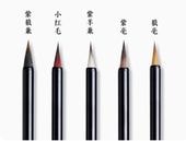 ��ɮ�������;�ɮ5�ܥ��åȡ������ݡʥ��������ҥĥ����ӡˡ���ϵ�ݡʥ����������������ӡˡ������ӡ����ݡʥ��������ӡˡ�ϵ�ݡʤ��������ӡˡ���������ɮ�衡��̩�衡����Ρ�����ɮ��5�ܥ��åȡ�����������������/�������ӏ����ܴϵ��专业书�̏�����专��蝇头��ܴ���ݷ�������练��