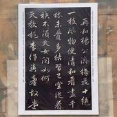 ���ҏ衤�����Τ�Ρ��ֽ߲���٤˾��¤��ƽ񤤤���ʸ���ʡ�10������ʤ�Ϣ��� ��ƻ�����ѡ����楫���ɼ���������/赵�ҏ衡ں���杨��济�ֽ߲�绝�ۡ�10张�� 书ˡ练���ŏ��纸���ʻ�ġ