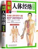 �޲���η������Ѽ�Ģ����������������ǽ���/图�����经络���Ѽ������̿��δ�经Ȭ��Ǩ养���经络ˡ门Ķ简单��®������经络���ɴ��