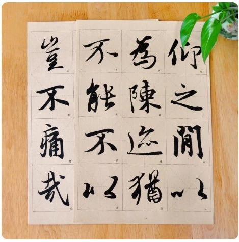 王羲之 蘭亭序 行書 歴代碑帖精選拡大シリーズ 中国書道碑帖拓本 中国