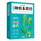 �޲���������   �����������顼���ǡ���¢�� / 图���农����经   ��话��图ŵ���