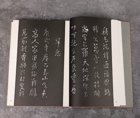 擬山園帖 ハードカバー製本 中国語書道/拟山园帖(精) | 中国美術