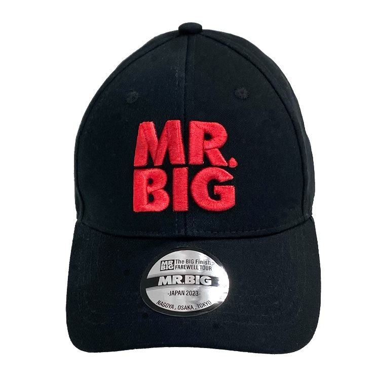 JAPAN TOUR 2023 省å