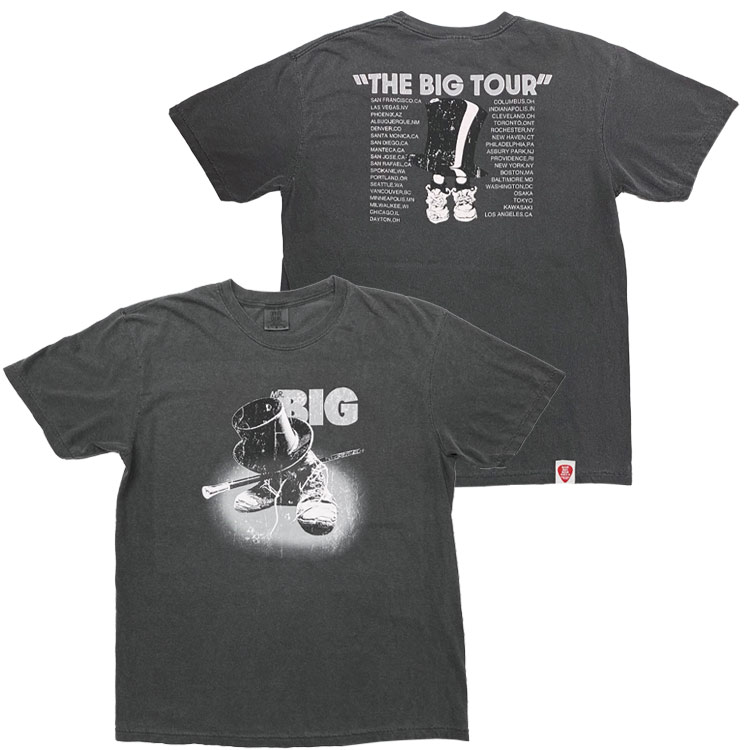 THE BIG TOUR  T