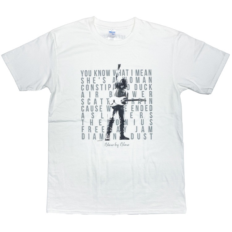 BLOW BY BLOW T�����(�ۥ磻��)