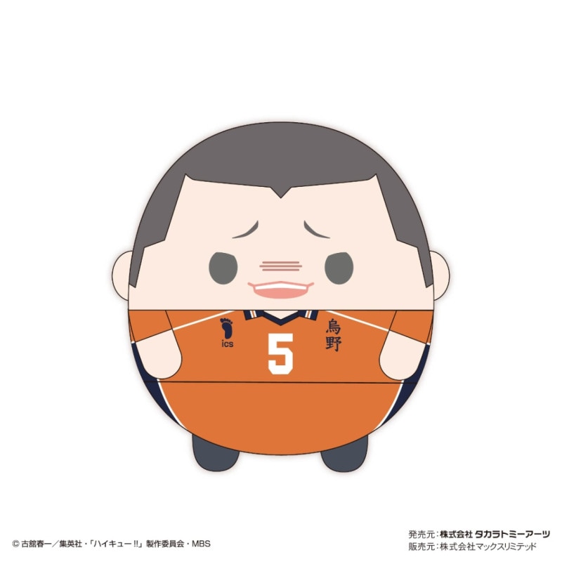 ふわコロりん Msize7 C 田中龍之介 『ハイキュー!!』の商品画像