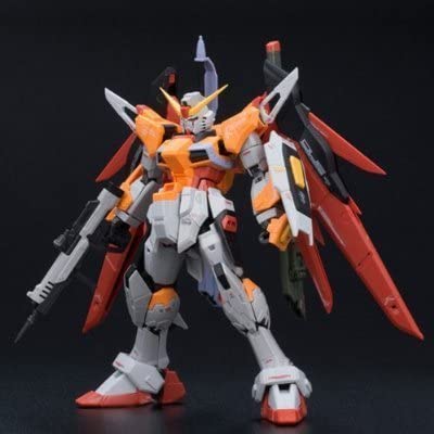 RG 1/144 デスティニーガンダム ハイネ・ヴェステンフルスカラーVer 