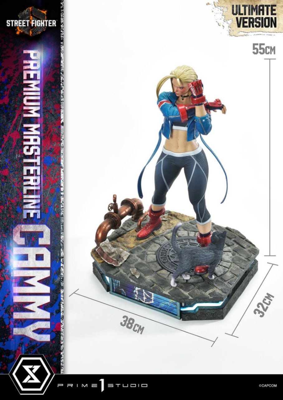 【送料込】ストリートファイター キャミィ 1/6 フィギュア【匿名配送】 Amazon.co.jp: 1/6 キャミィ アクションフィギュア 眼球可動