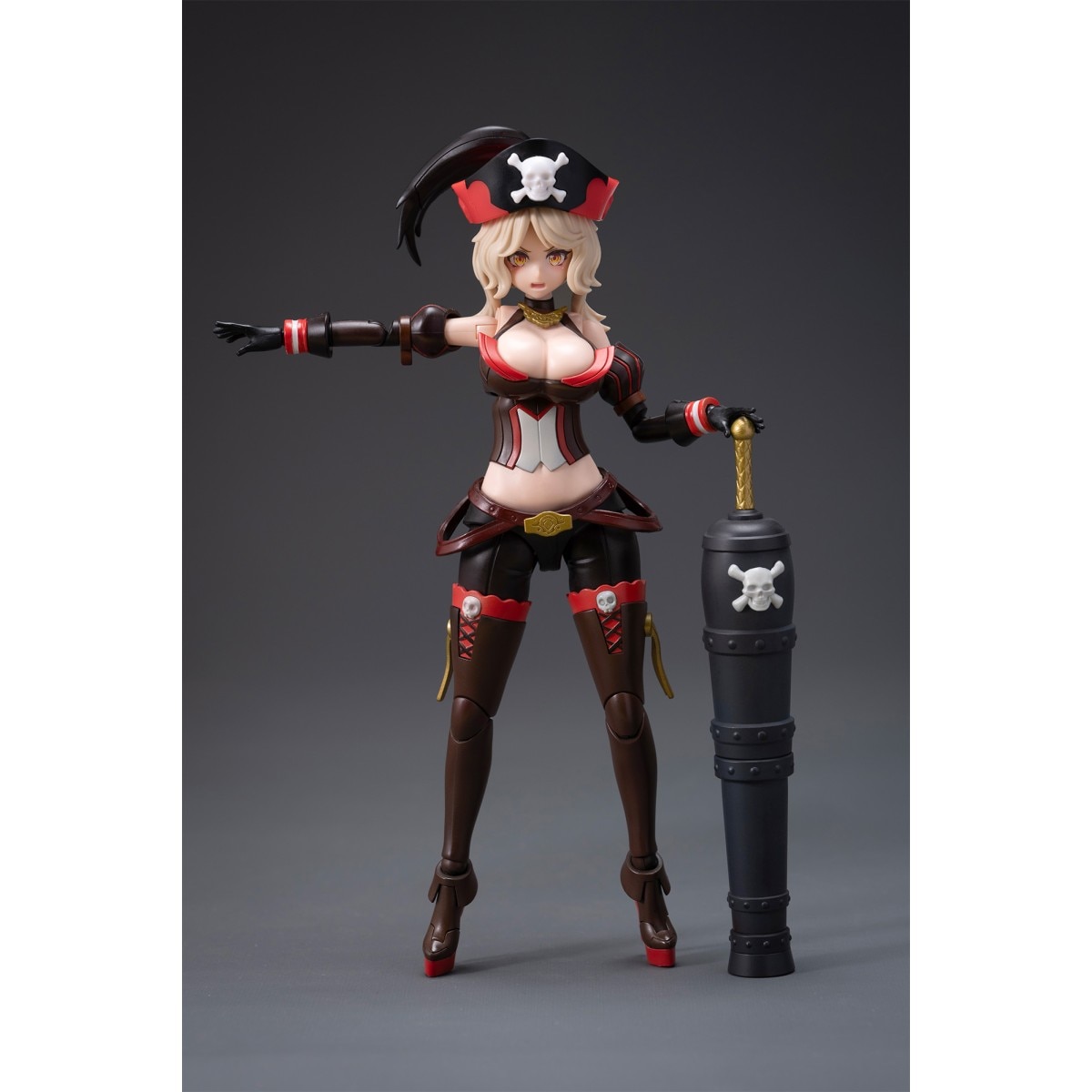海賊 キャプテン クイーン・アン スナップキット