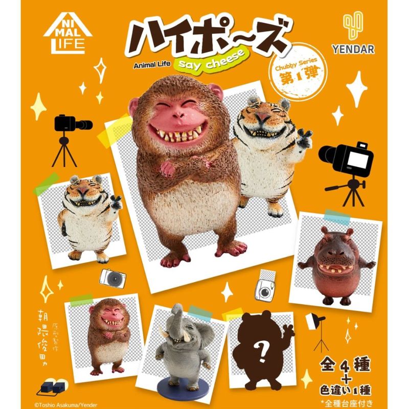ANIMAL LIFE Chubby Series ハイポ～ズ 6個入りBOXの商品画像